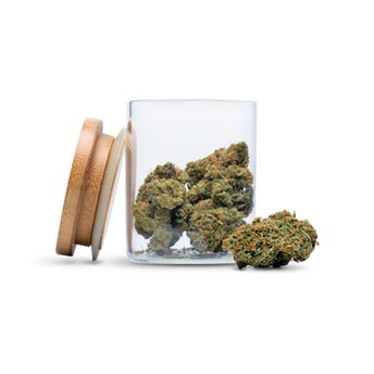 Pink Buffalo The Bakerie